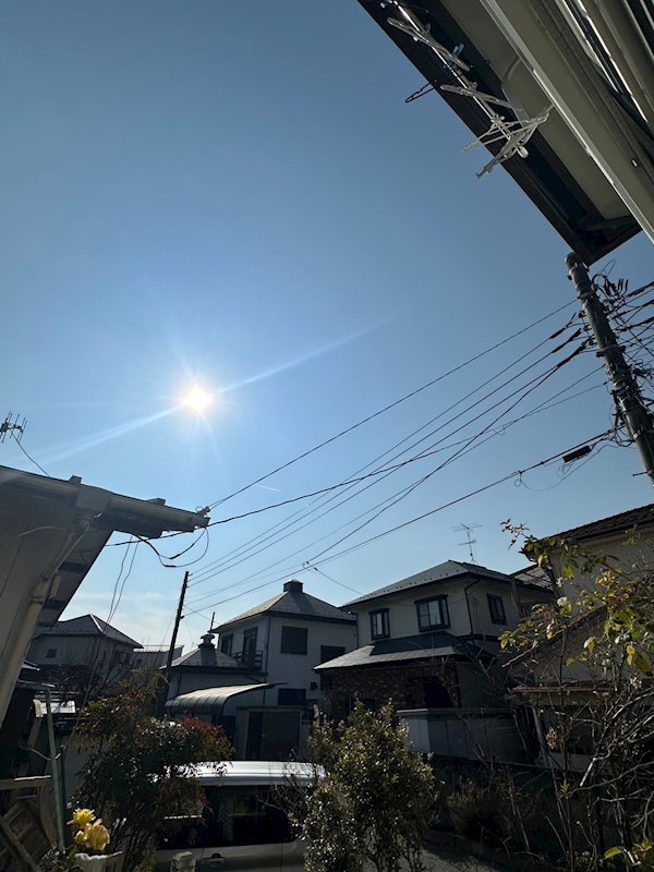 メゾンドソレイユ その他4
