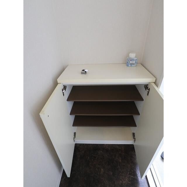 エントピア嶋崎Ａ 玄関