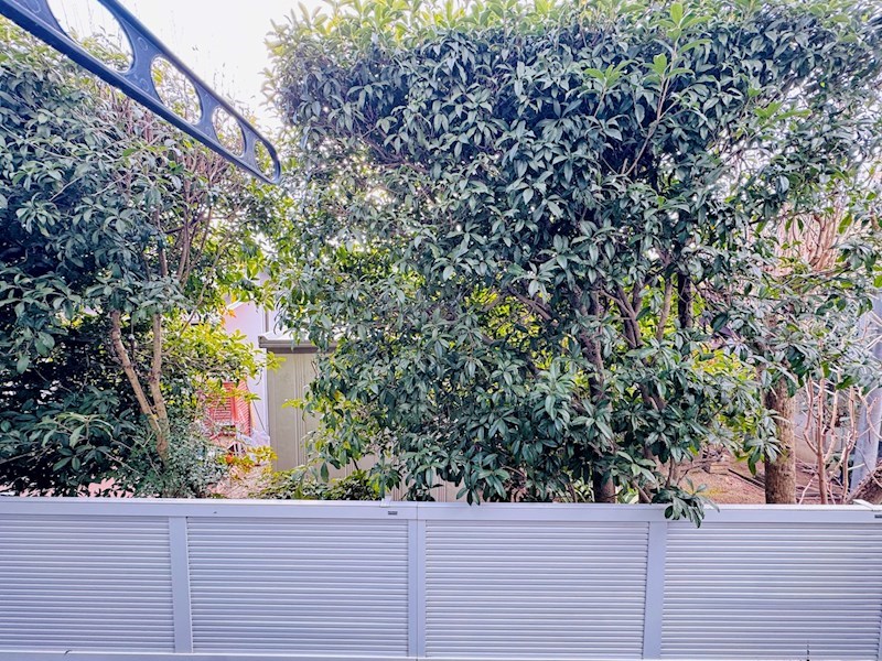 ガーデンハイツ森本Ⅱ その他3