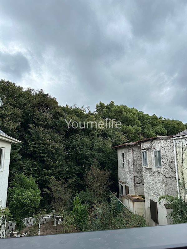 Varia白浜町 その他5