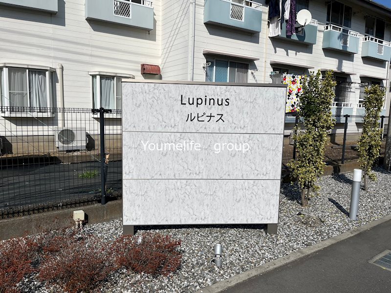 Lupinus　B棟 その他