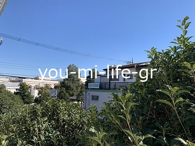 ベルピア中原 その他5