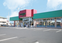 ベルピア中原 周辺画像6