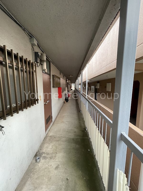 コート・カトレア その他2