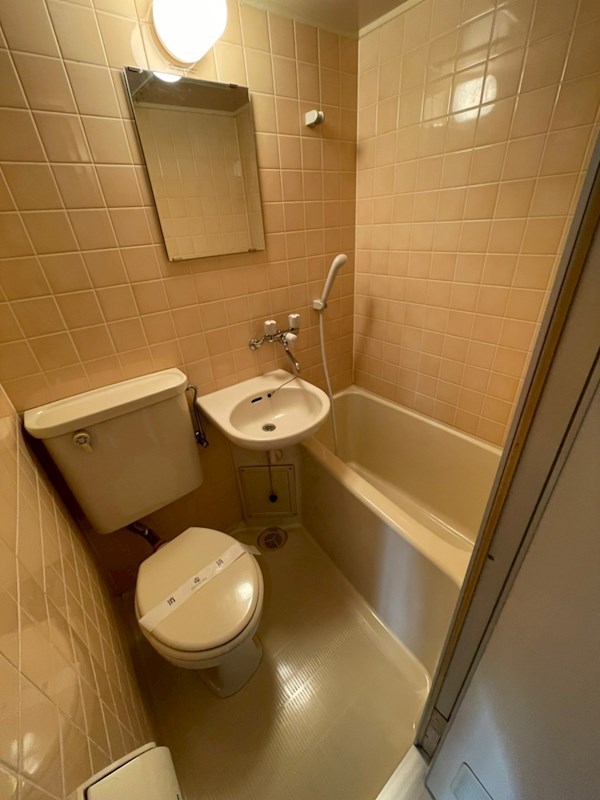 ライオンズマンション平塚明石町 その他1