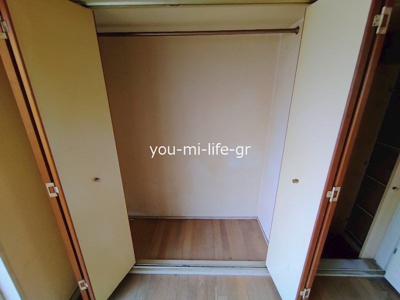 スカイソラーレ その他6