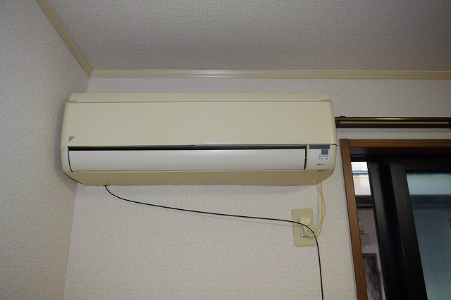 ラヴィアン・ローズ その他3