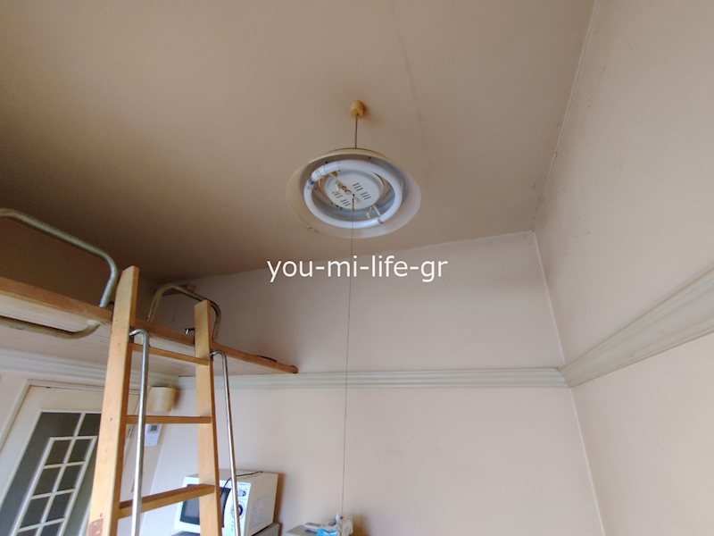 スカイソラーレ その他5