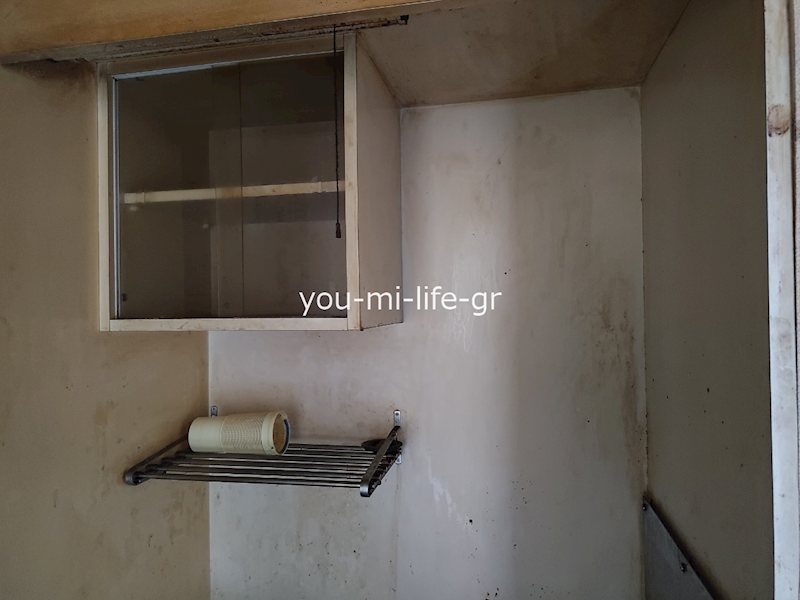 スカイソラーレ その他7