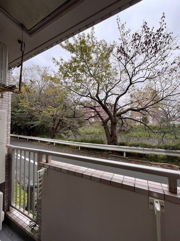 ラフェリア湘南参番館  眺望