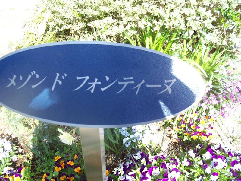 メゾン　ド　フォンティーヌ・A棟 その他外観1