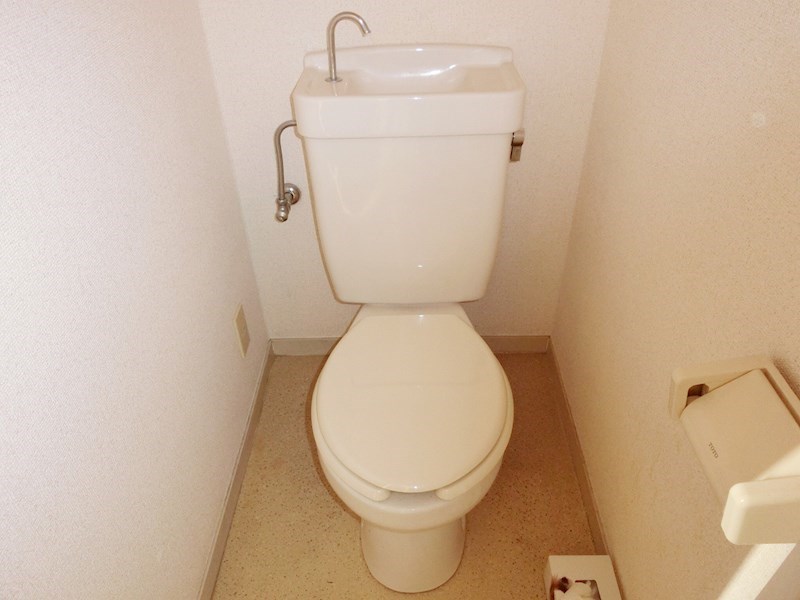 ピュアー その他3