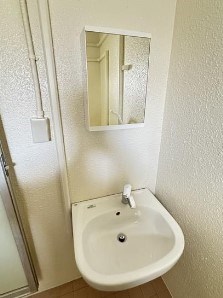 洗面所 大雄山マンション その他3