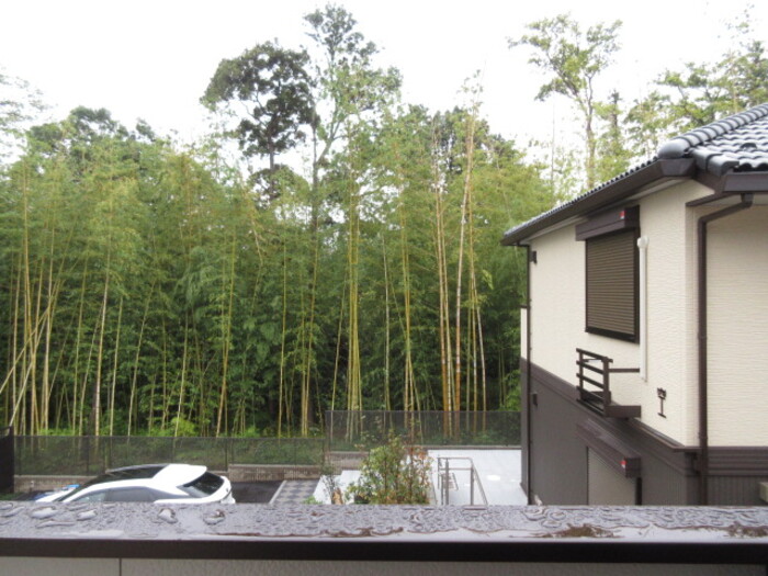 蒼の杜　風 その他5