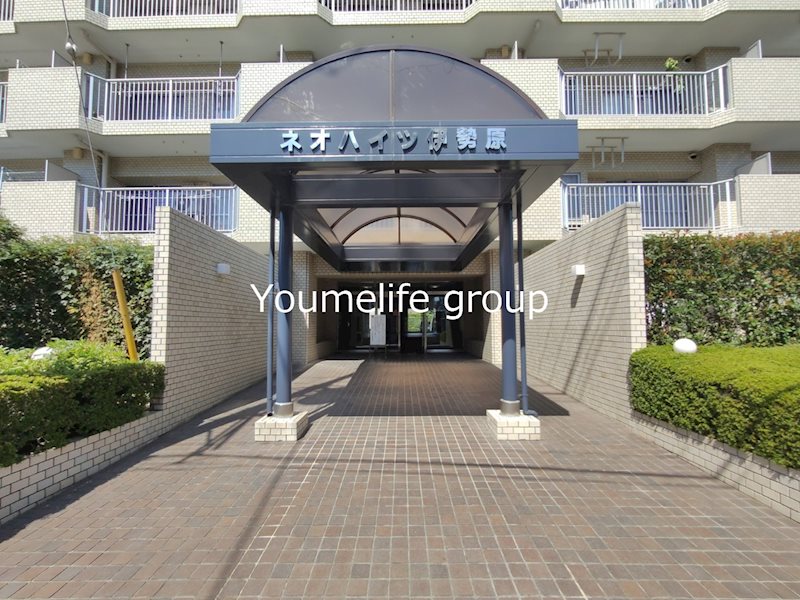 ネオハイツ伊勢原 その他外観1