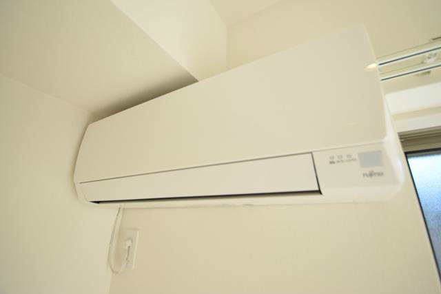 リブリ・ポピー その他5