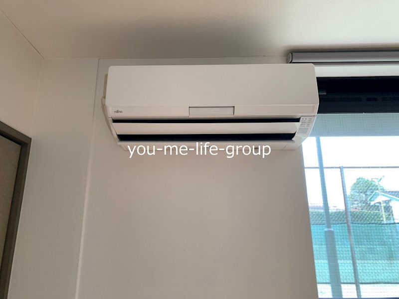 メタセコイヤ その他4