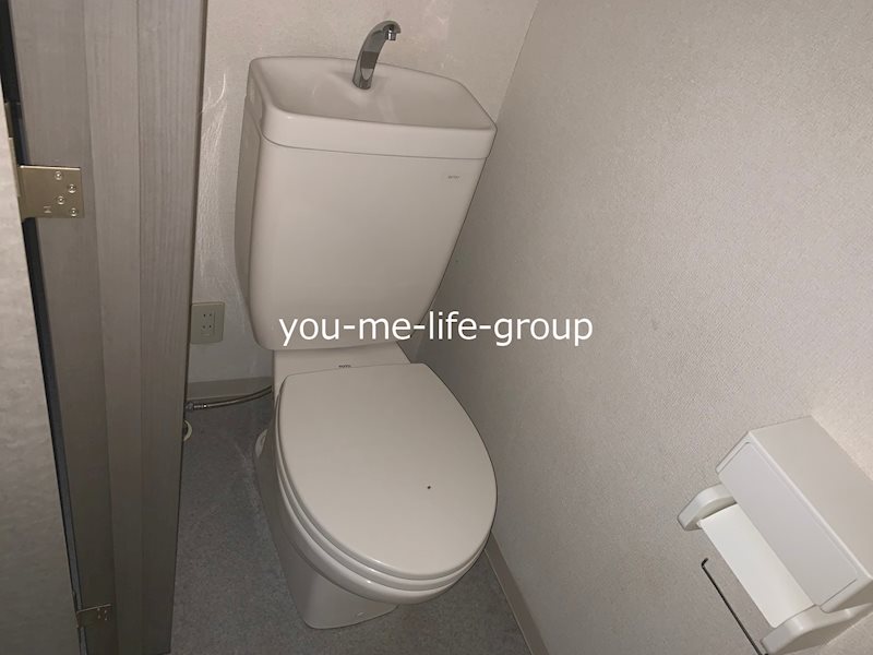 メタセコイヤ その他1