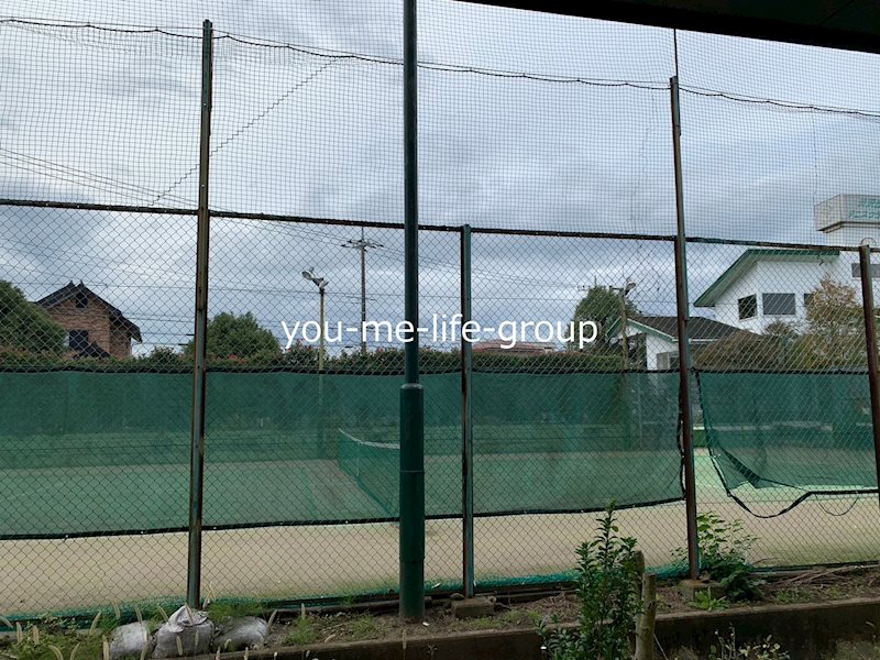 メタセコイヤ その他5