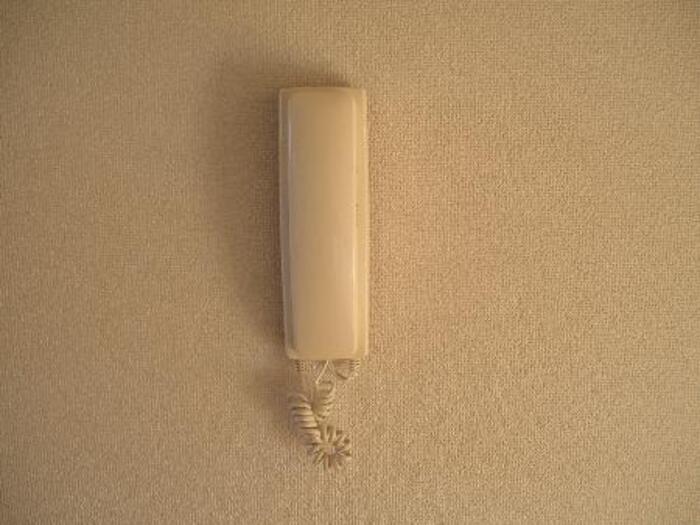 ドミールシャンテ その他外観2