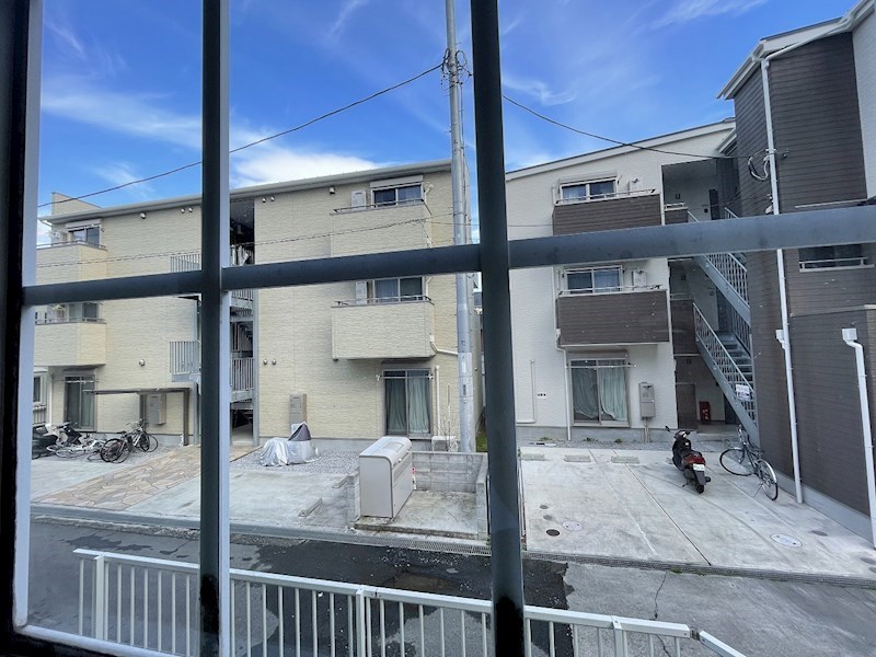 ドルフ東海大 その他3