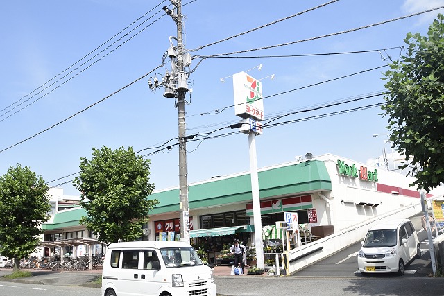 レイモンドハウスＢ棟 周辺画像3