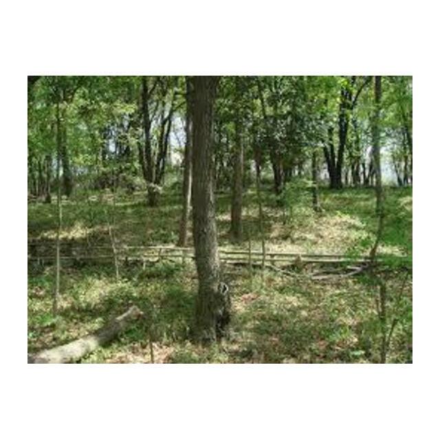 カフーかしわ台 周辺画像4