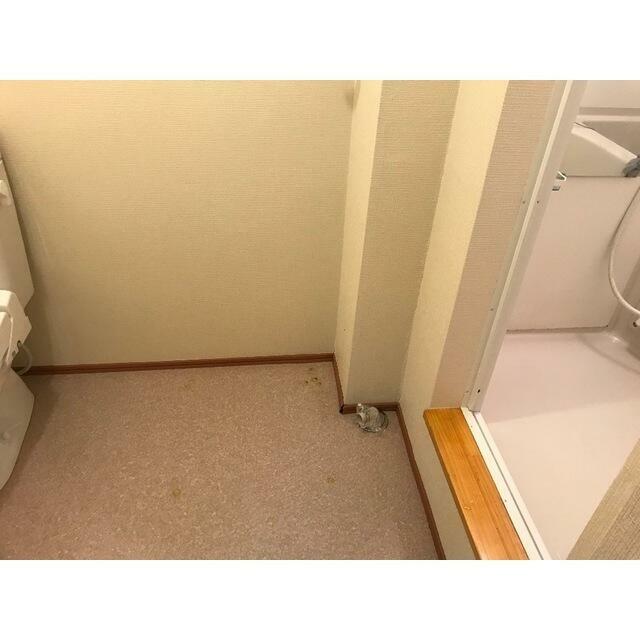 アークサカワ 風呂画像