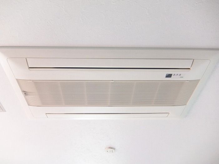 BELLA LUCE その他7