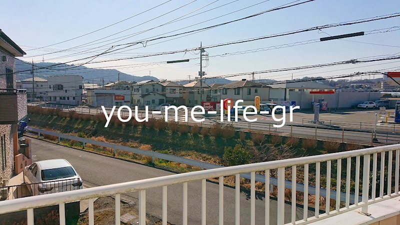 河内サンハイツ その他3