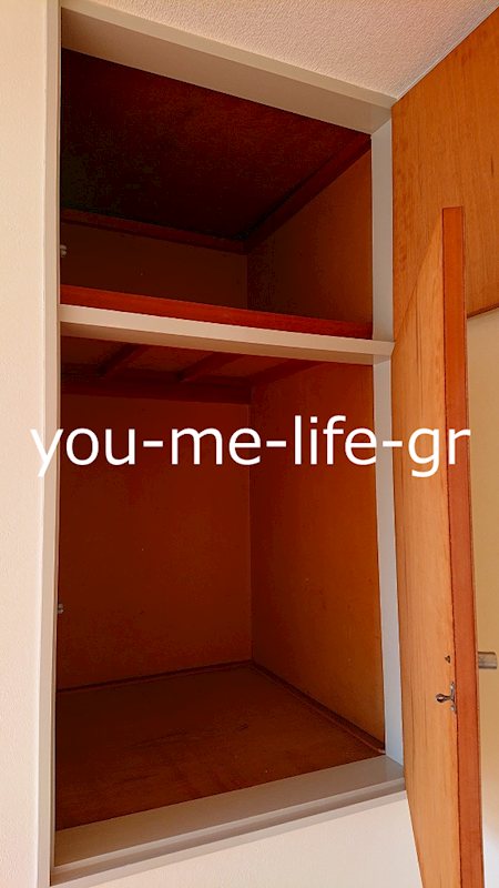 河内サンハイツ その他1