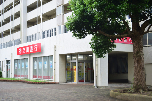 シンセイレジデンス湘南仲町 周辺画像3