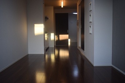 LSY-56 その他9