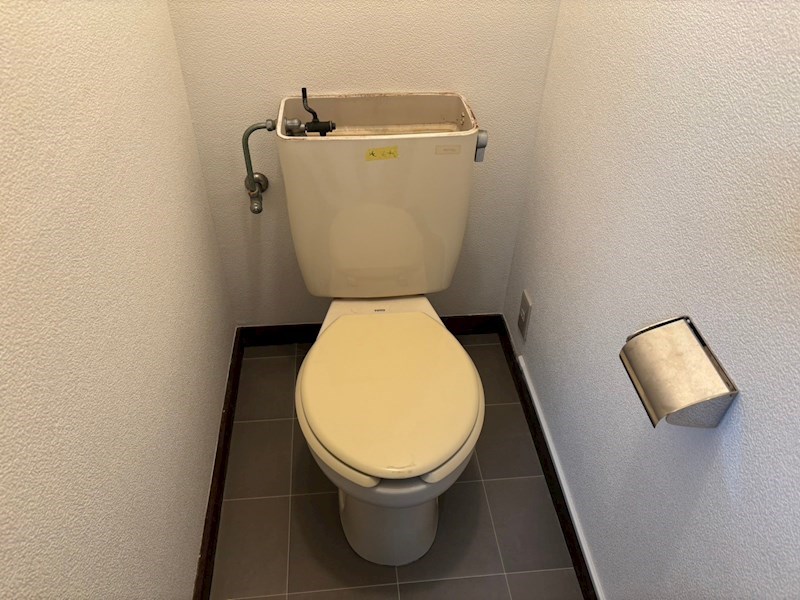 シリウス その他1