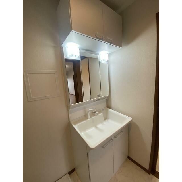 アムール桜 その他2