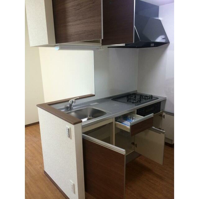 アムール桜 その他15