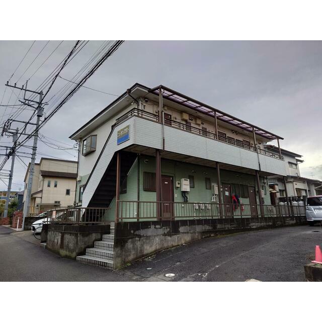 ニューサンフラワー その他8