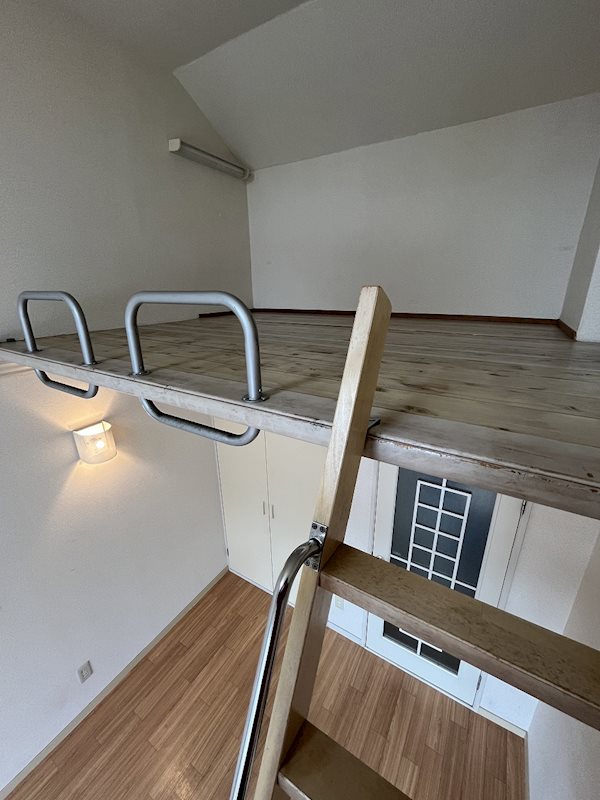 ホルス影取 その他2