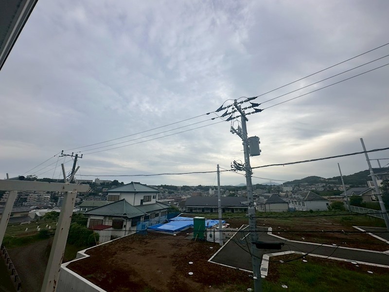 グレーハウス その他4