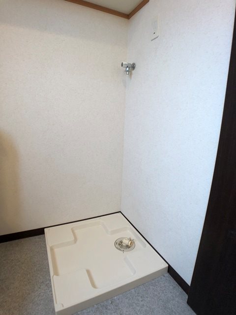 パーシモン その他3