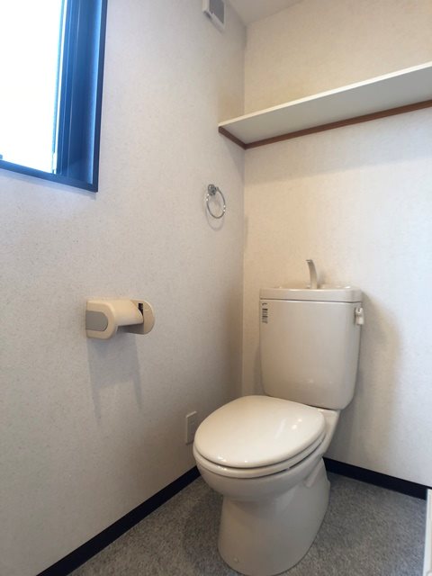 パーシモン その他4