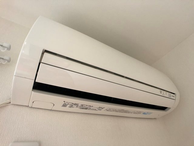 パーシモン その他6