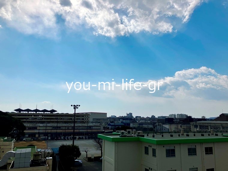 ライオンズガーデン平塚 その他6