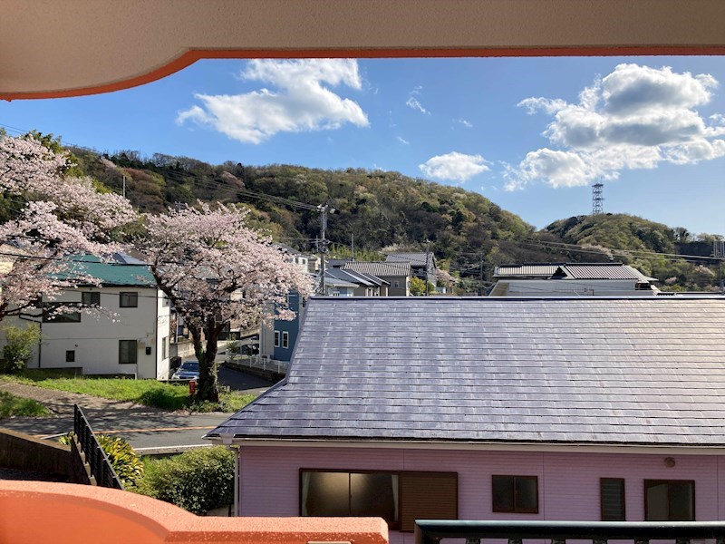 セレッソ　クエスタ湘南 その他4