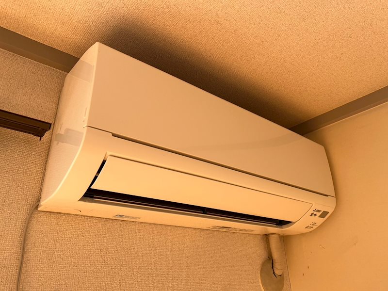 グレープ・シュライン　T その他3