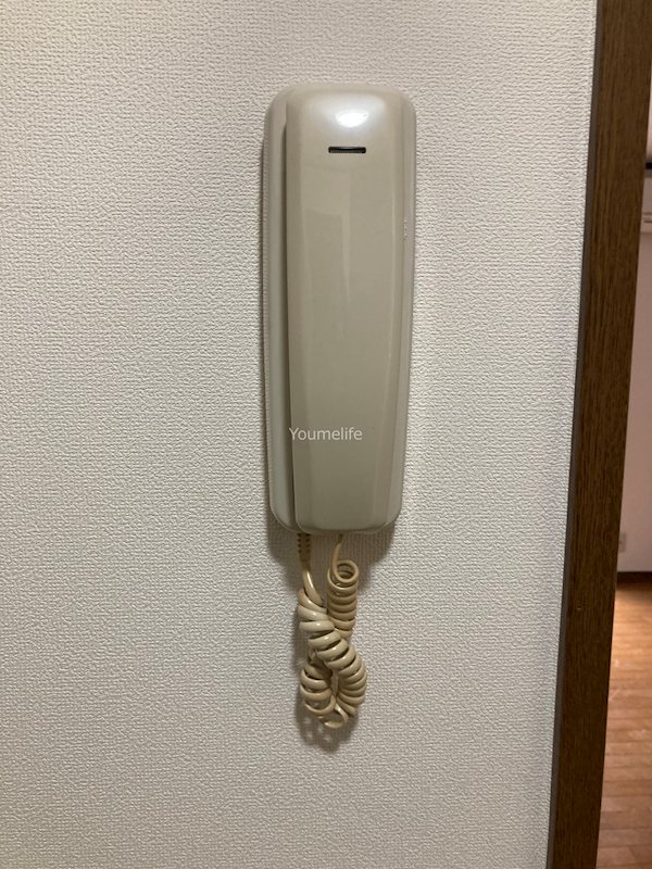 グリーンハイムⅡの写真14