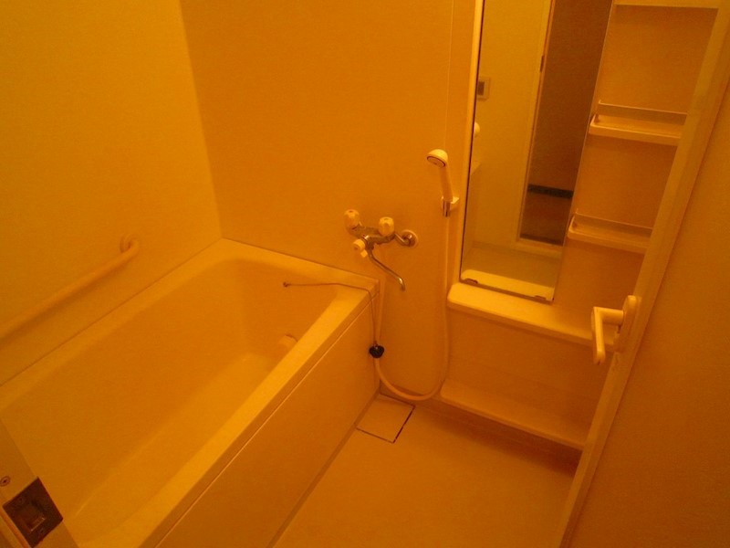 アネシスヒルズ 風呂画像