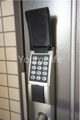 Ver-de  その他4
