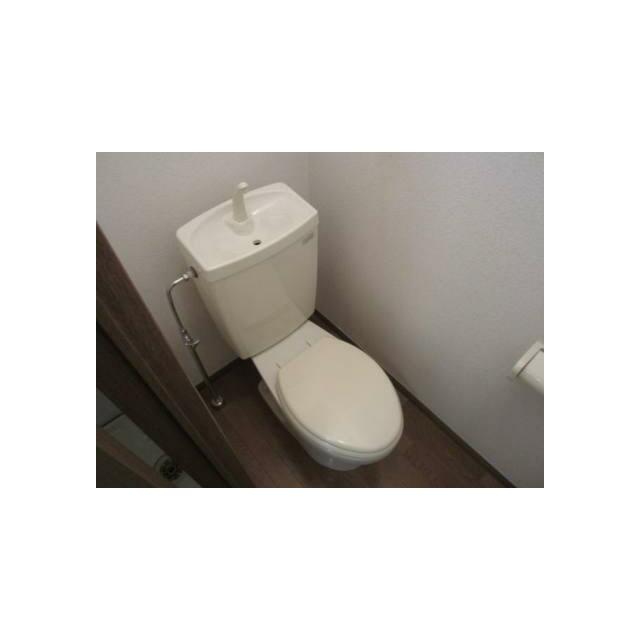 アンプルール　フェール　ライム その他1