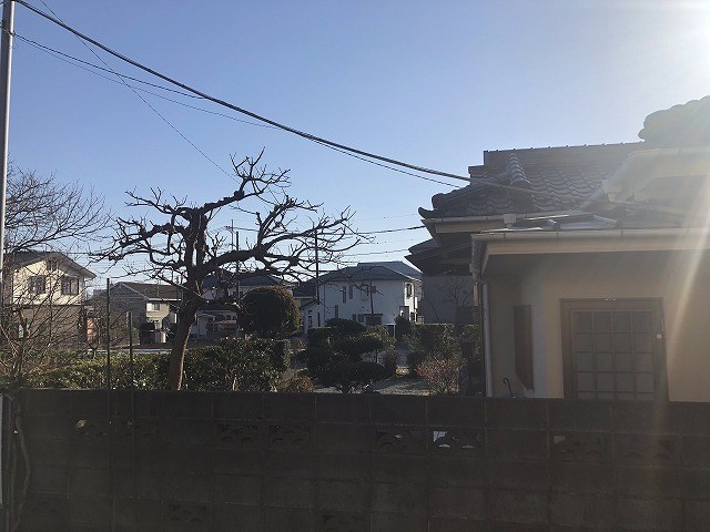 カトレアハイツ その他1